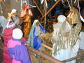 DSCN9682