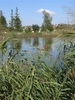 okladka
