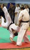 umt_topl1323