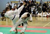 umt_topl1329