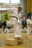umt_topl1339