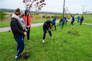 Park Biegowy Marcinka - Akcja społeczna ,,W zielone gramy"