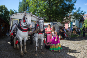 Międzynarodowy Tabor Pamięci Romów
