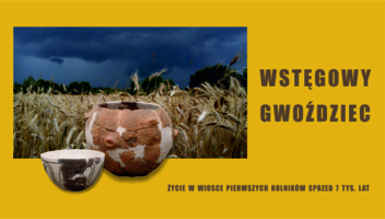 Baner wystawy "Wstęgowy Gwoździec"