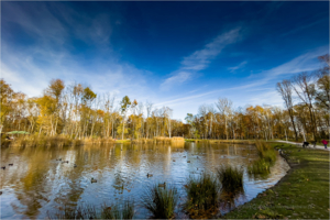Park Piaskówka