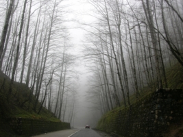 foggy