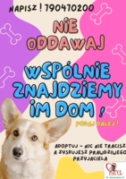 akcja Nie oddawaj-adoptuj