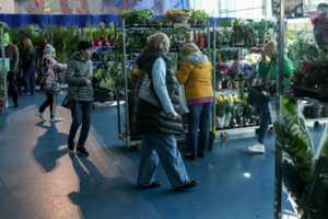 Wielkie Targi Roślin