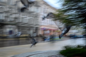 przed burzą w Tarnowie