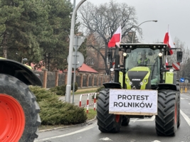 fot. P. Topolski/archiwum