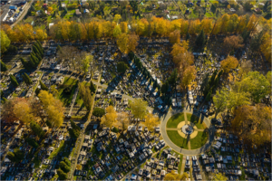 zmiany w ruchu 1listopada