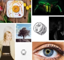 Baner wystawy fotografii uczniów ZSOiT