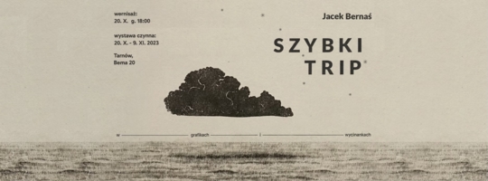 Plakat wystawy "Szybki trip"