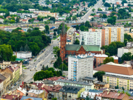 konsultacje