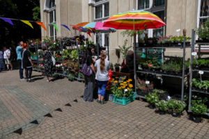 Piknik ogrodniczy w  ZSEO