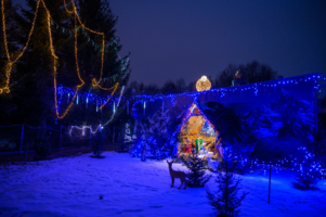 konkurs Tarnów pełen blasku