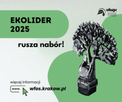ekolider