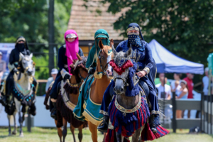 Championat koni arabskich