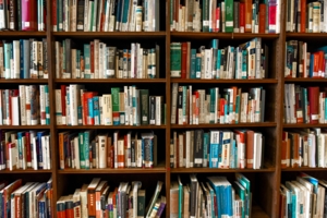 biblioteka