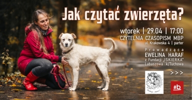 zwierzaki