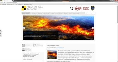 Strażnicy z stroną internetową