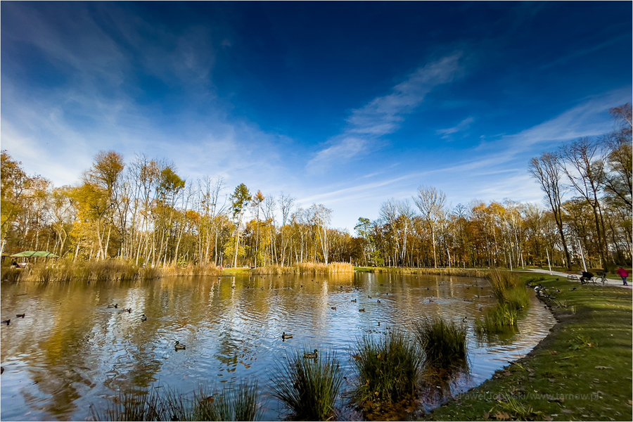 Park Piaskówka