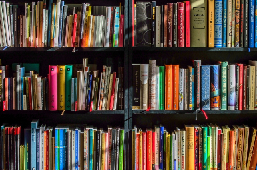 biblioteka