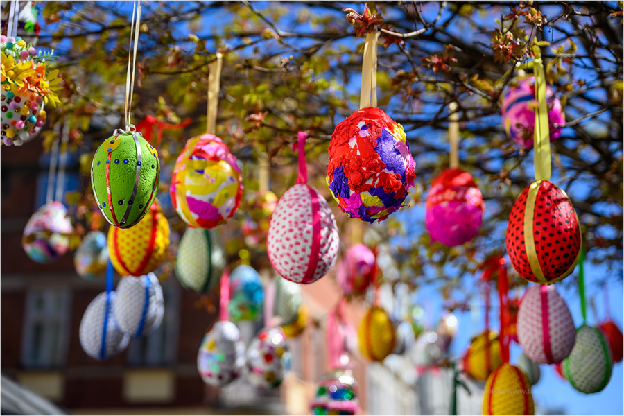 Na zdjęciu ozdobione kolorowe pisanki zwisające z drzewka