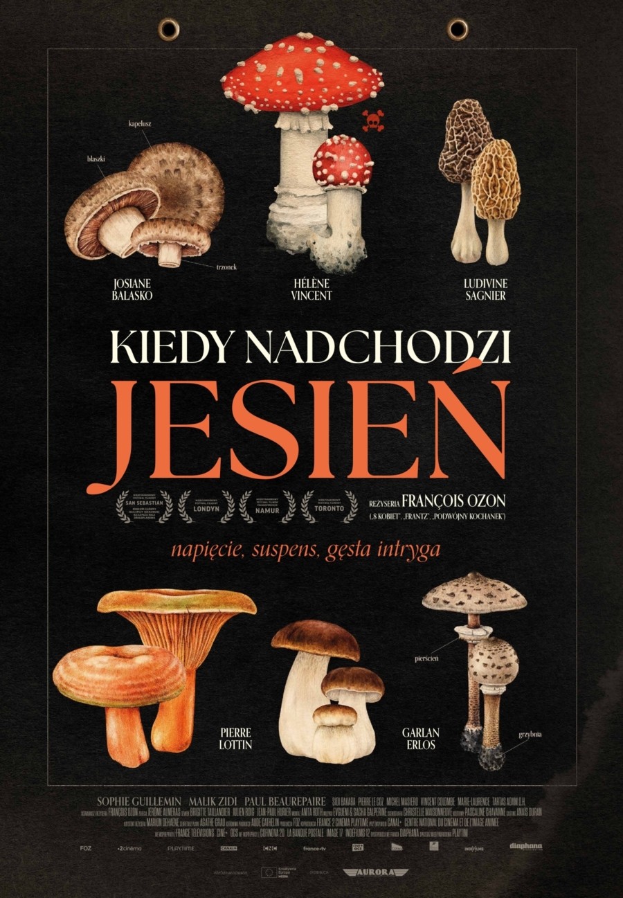plakat filmowy