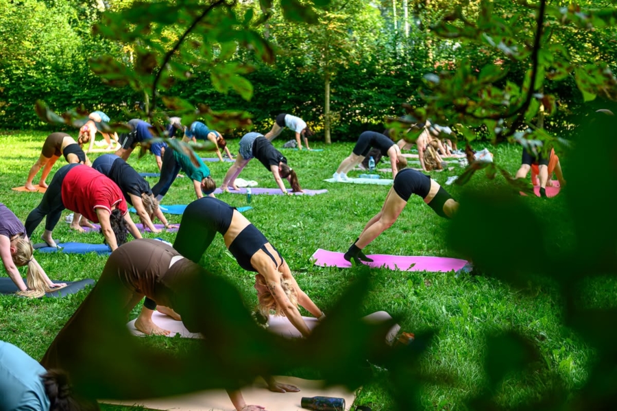 joga w parku