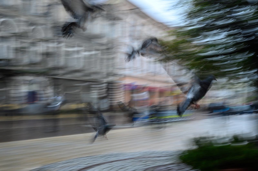 burza