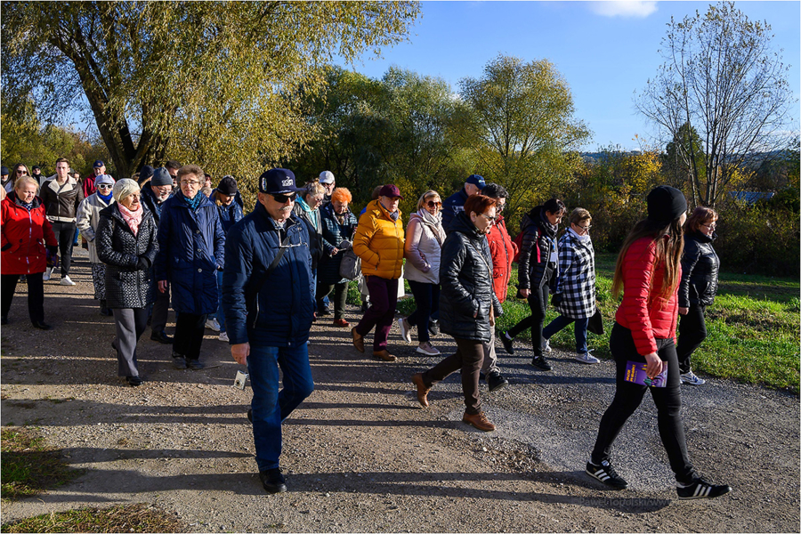 spacerki po Grabówce odbędą się 18 września, zbiórka o 15,30 przy rondzie Dagnanów