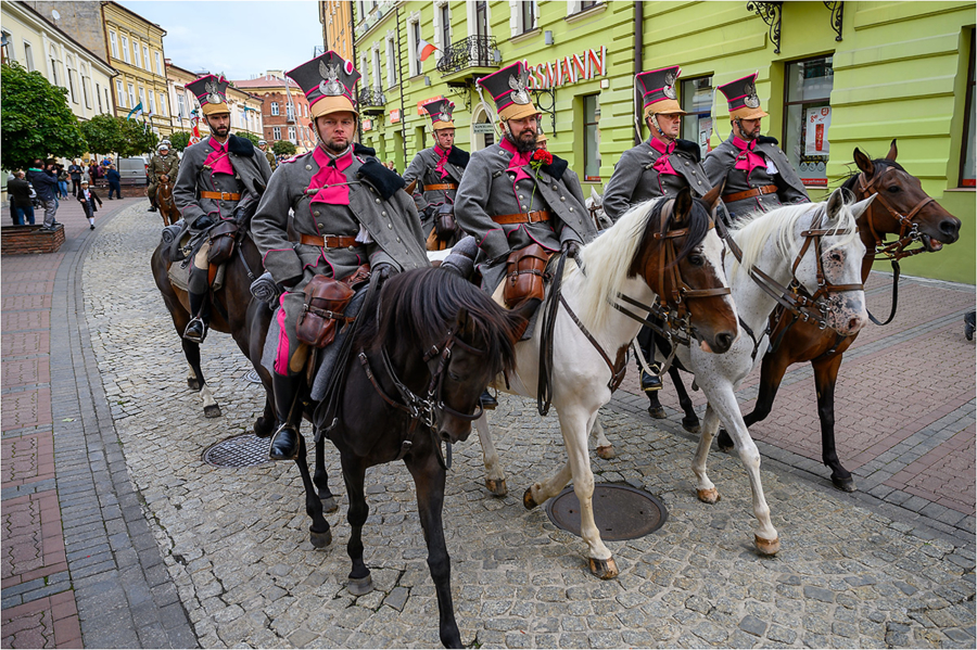 Parada konna defilada