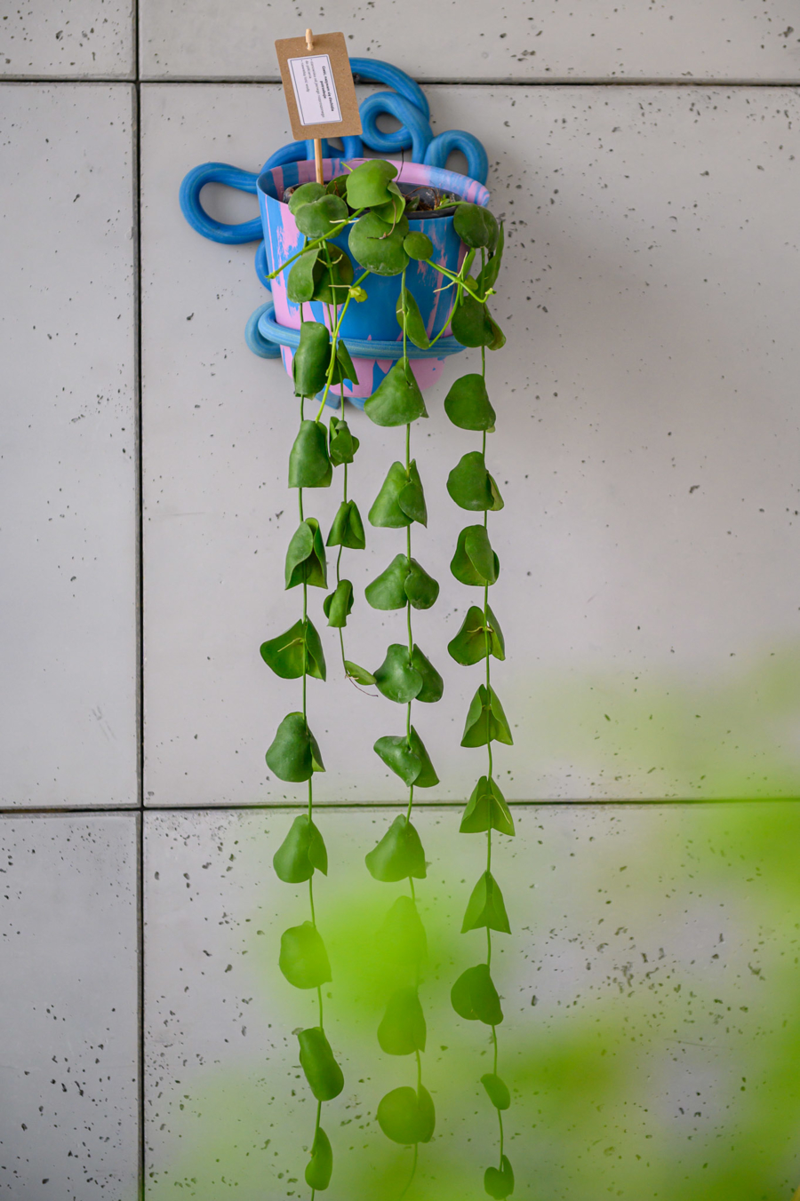 fotografia z wystawy w MCA