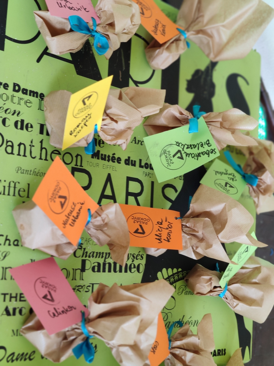 Zajęcia w Pasażu Odkryć