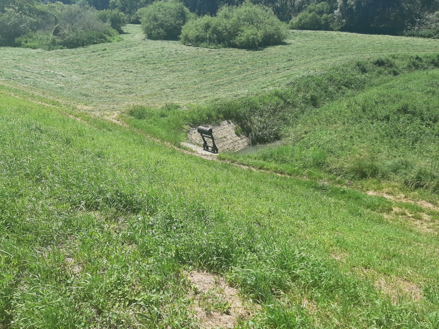 Burza