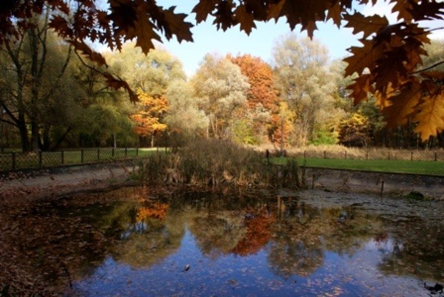 Staw na Piaskówce do przebudowy 